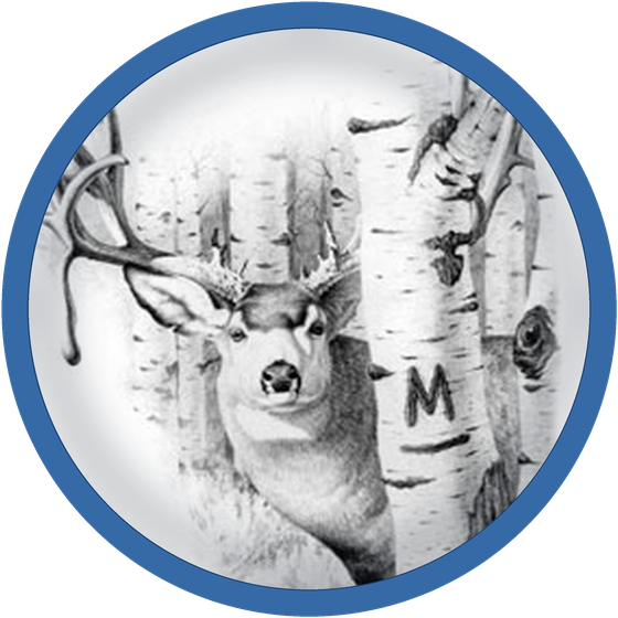 Modoc Insurance Services medallion